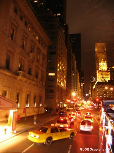Postcard The 5th Ave