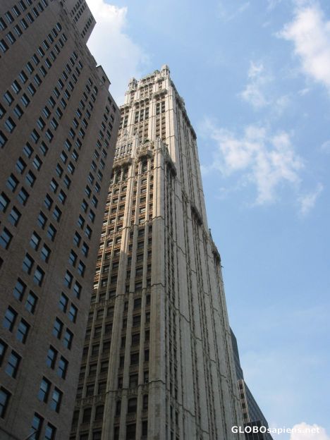 Postcard The Woolworth Building in South Manhattan