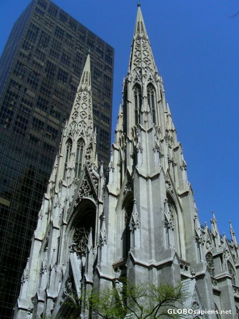 Postcard St Patrick Cathedral 01
