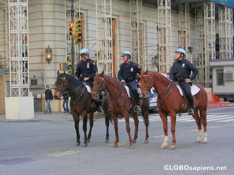 Postcard Mounted NYPD