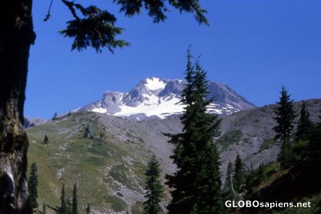 Postcard The peak of Mt. Hood