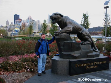 Postcard pitt panther