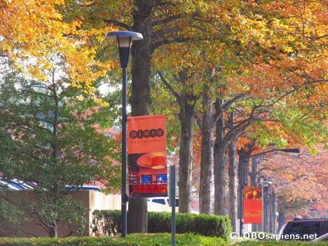 Postcard Autumn 05