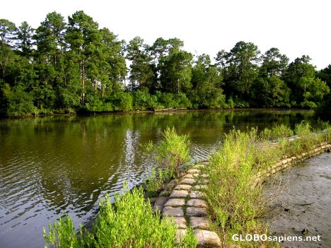 Postcard Bayou Bagwall