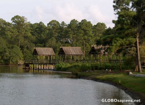 Postcard Bayou Boardwalk