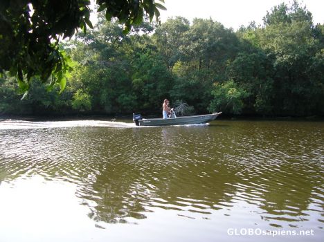 Postcard Bayou Boat