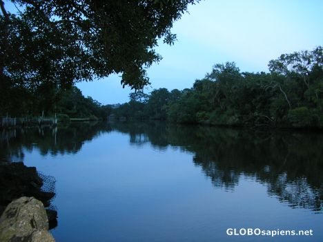 Postcard Bayou Evening
