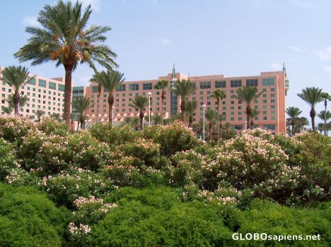 Postcard Moody Gardens 16o22 Hotel