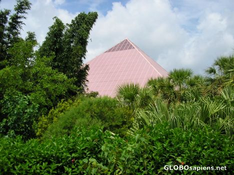 Postcard Moody Gardens 10o22 Discovery Pyramid