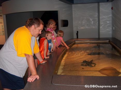 Postcard Moody Gardens 5o22 Aquarium Hands-On