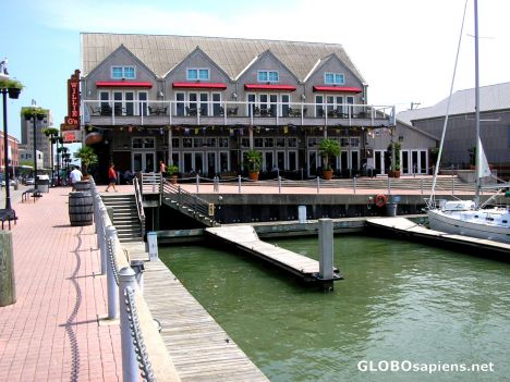 Postcard Small Yacht Harbour
