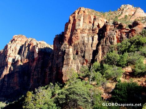 Postcard Zion Canyon