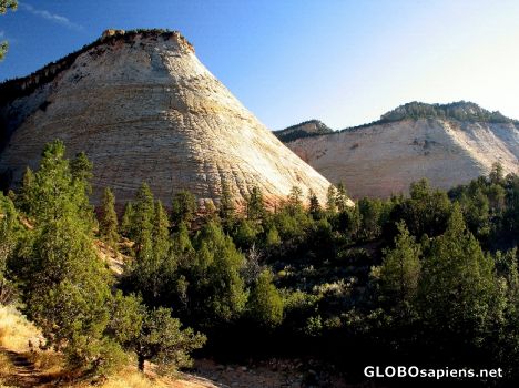 Postcard Zion Canyon