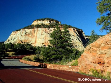 Postcard Zion Canyon