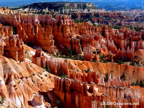 Postcard Bryce Canyon