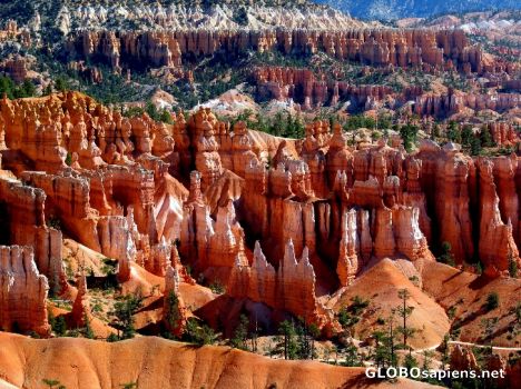 Postcard Bryce Canyon