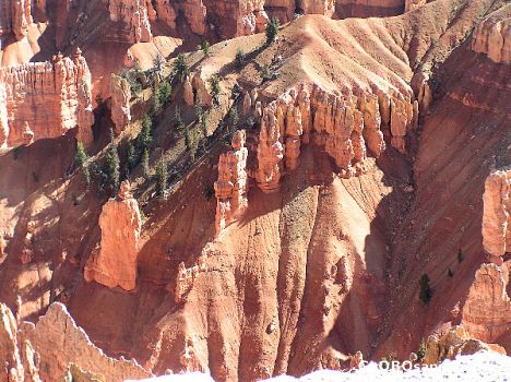 Postcard Cedar Breaks