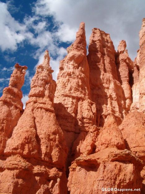 Postcard Bryce