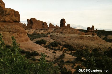 Postcard Petrified Dunes