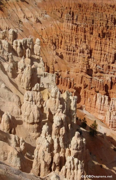 Postcard bryce canyon