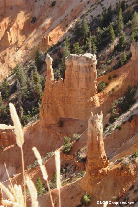 Postcard Bryce