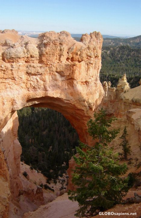 Postcard Natural Bridge