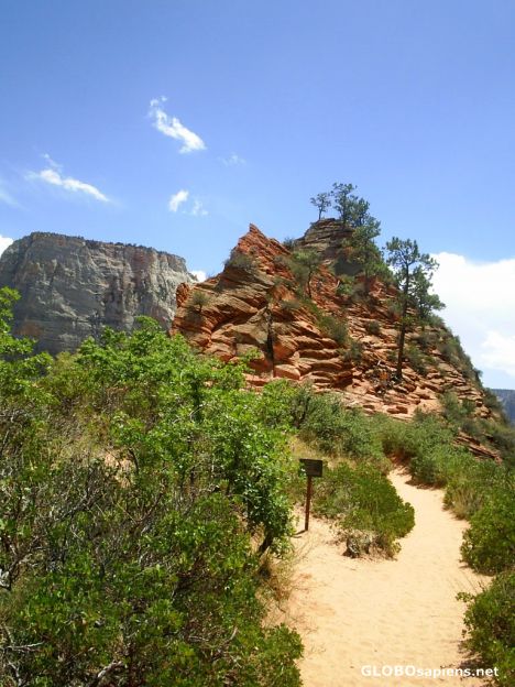 Postcard Angel's Landing