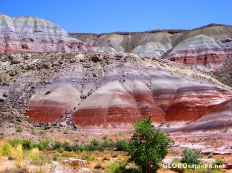 Postcard Capitol Reef-Sedimentary Layers of Stone