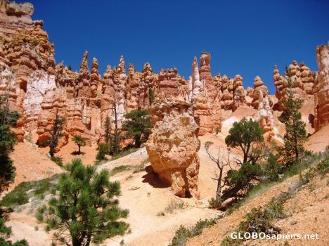 Postcard Walking in the HooDoos on Navaho Loop