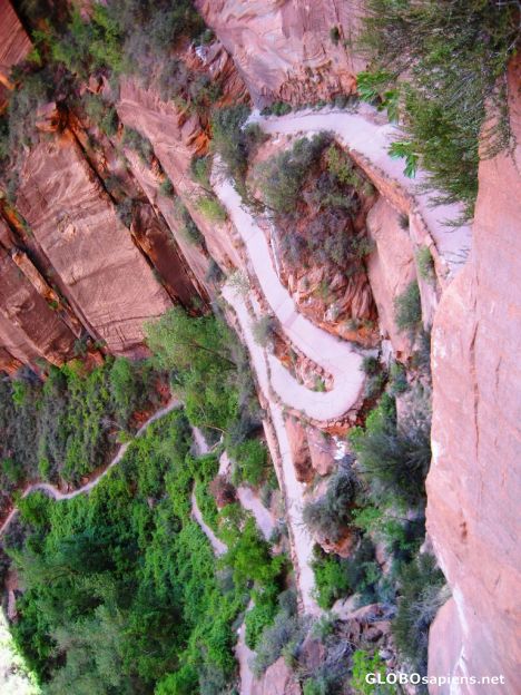 Postcard Looking Down the Trail Up-wally's Wiggles