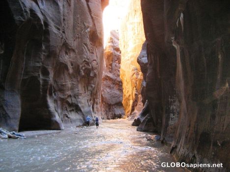Postcard Zion's Narrows Trail