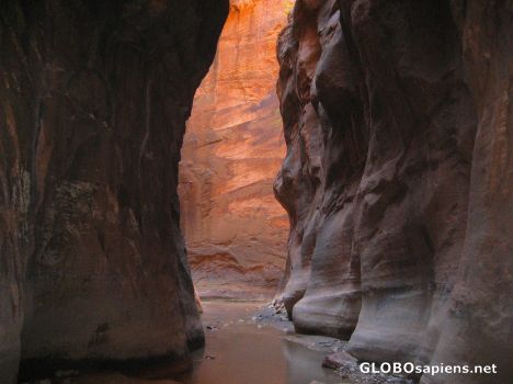 Postcard River Hiking through the Zion 