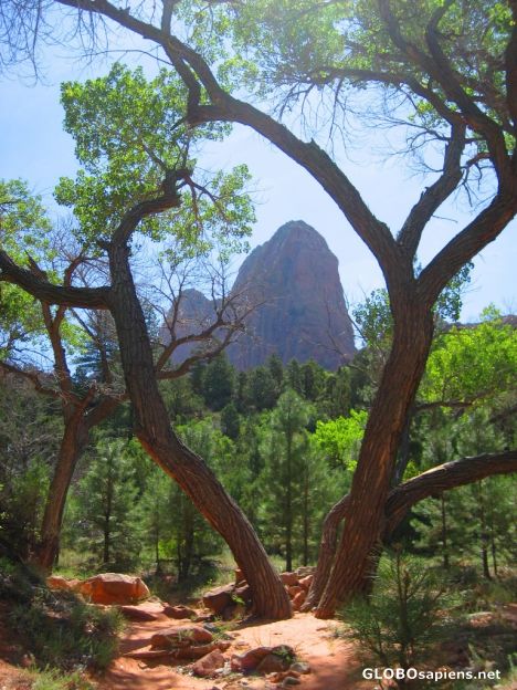 Postcard Formation seen from Taylor Creek Trail