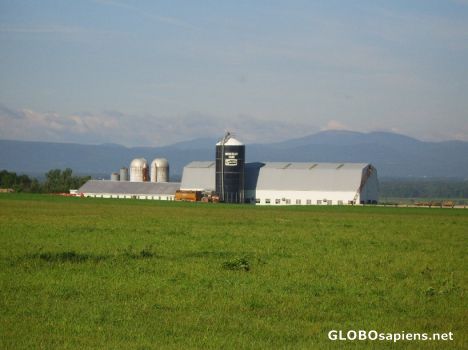 Postcard Working Dairy Farm