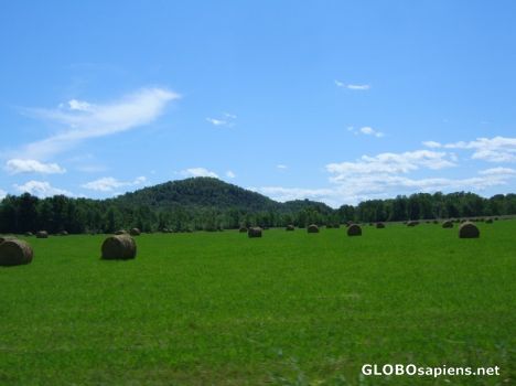 Postcard Hay Bales