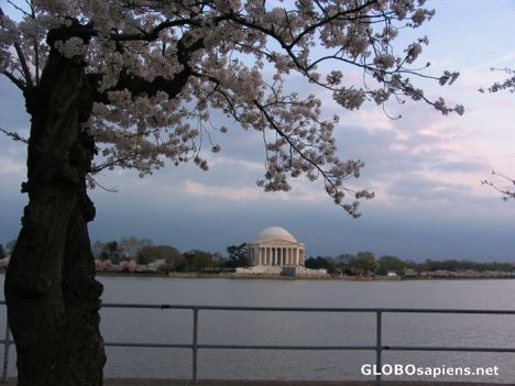 Postcard Jefferson Memorial