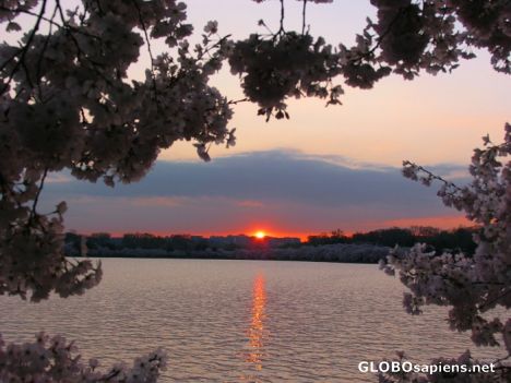 Postcard Sun set in DC