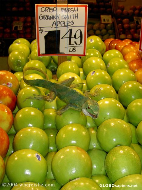 Postcard Fun Fruit, Pike Place Market, Seattle