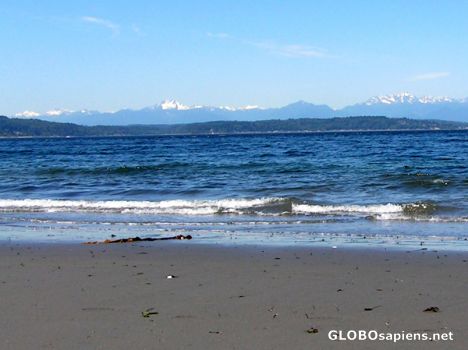 Postcard Seattle Alki Beach