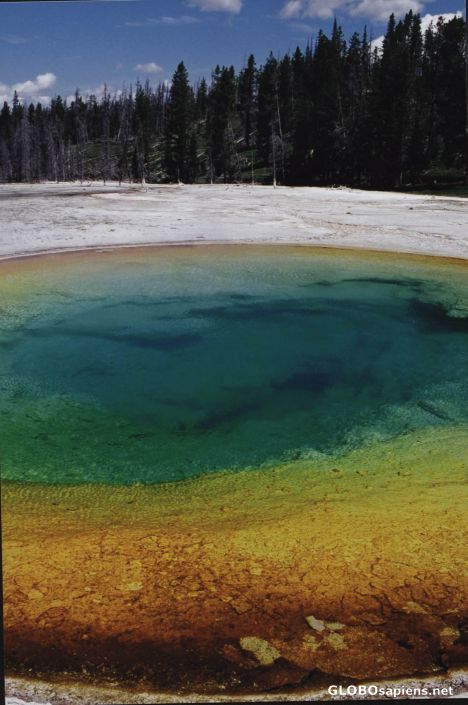 Postcard do you smell the sulphur