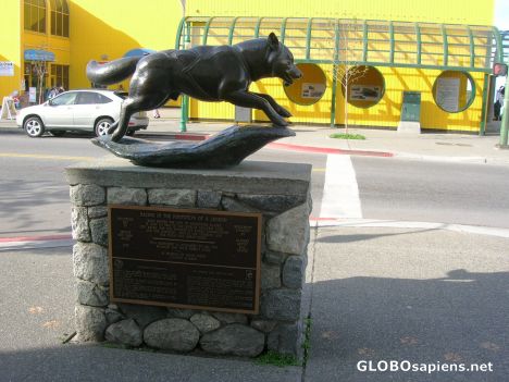 Postcard Racing in the footsteps of a legend