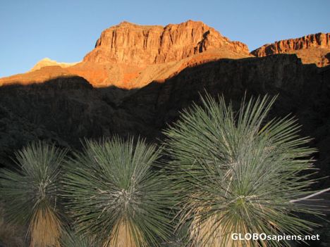 Postcard Grand Canyon
