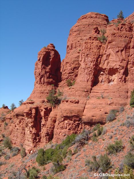Postcard The Texture in Sedona's Red Rock
