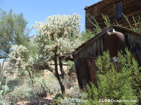 Postcard Ghost Town