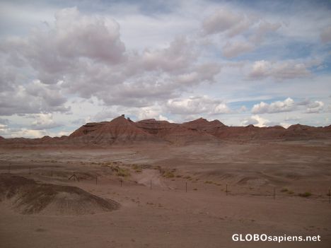 Postcard Arizona Landscape