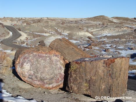 Postcard A road through geological history