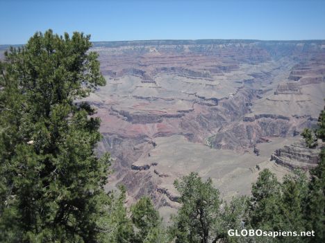Postcard Grand Canyon Arizona