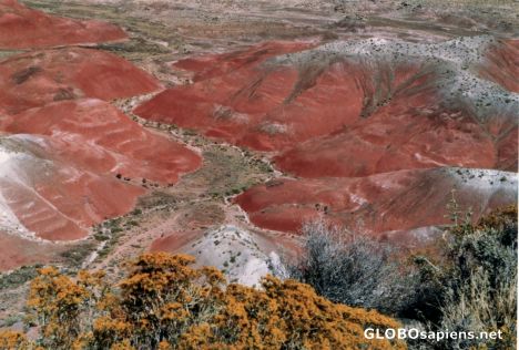 Postcard Painted Desert