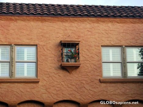Postcard Windows and red flowers