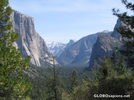 Postcard Yosemite National Park